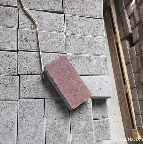 粉煤灰标砖生产
